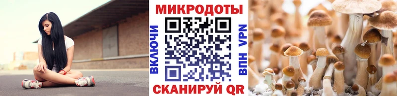 Галлюциногенные грибы MAGIC MUSHROOMS  Дмитровск 
